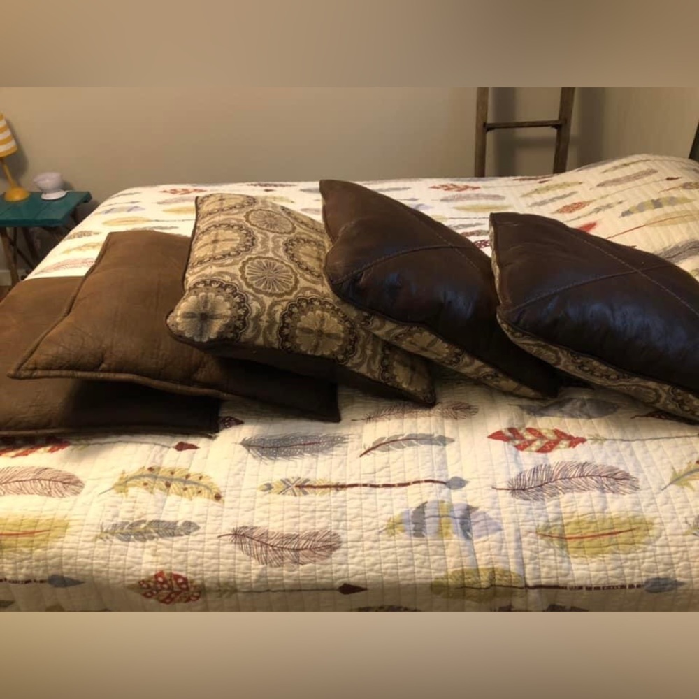Leather and down pillows